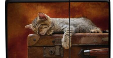 Mechero Lighter Impreso gatos durmiendo cachorro maleta