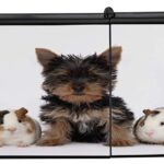 Mechero Lighter Impreso perro pequeño cachorro guinea pig hámster